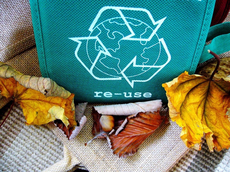 Reduce, Reuse, Recycle